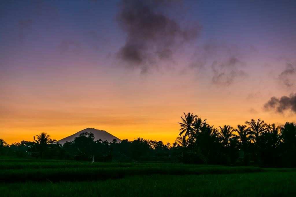 Solo Villas & Retreat Ubud Exteriör bild