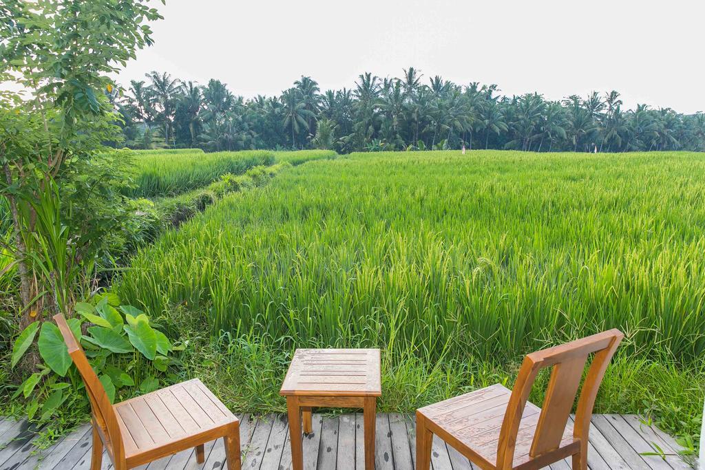 Solo Villas & Retreat Ubud Exteriör bild