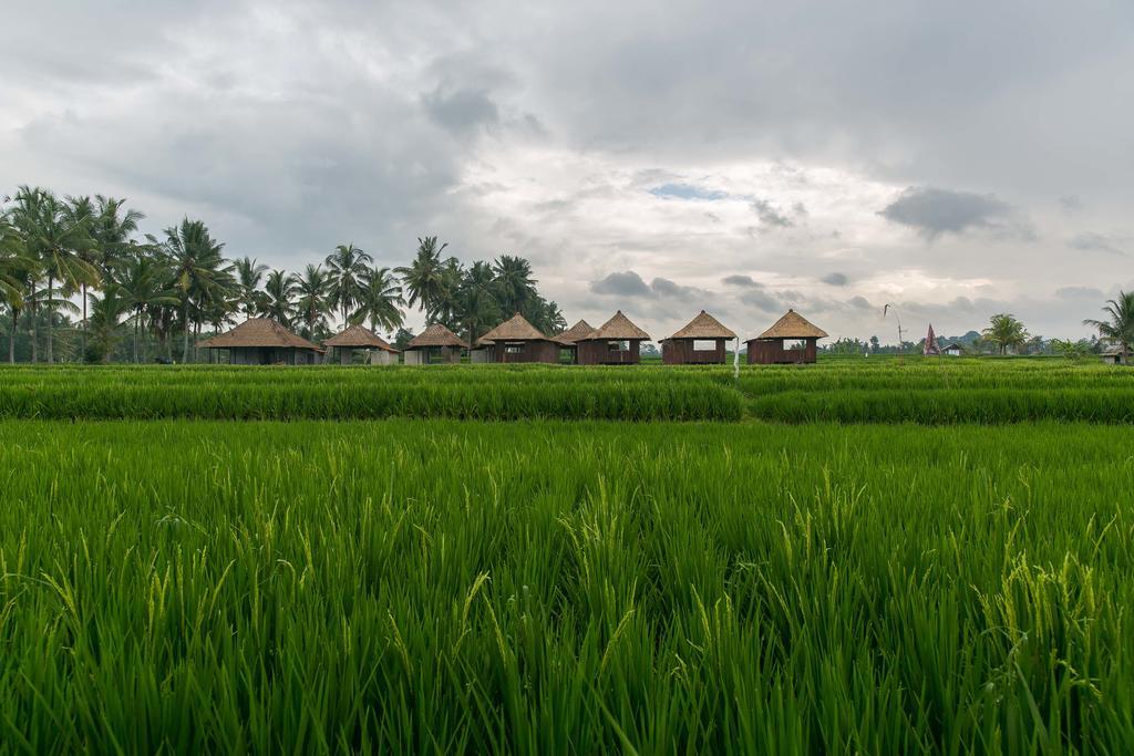 Solo Villas & Retreat Ubud Exteriör bild