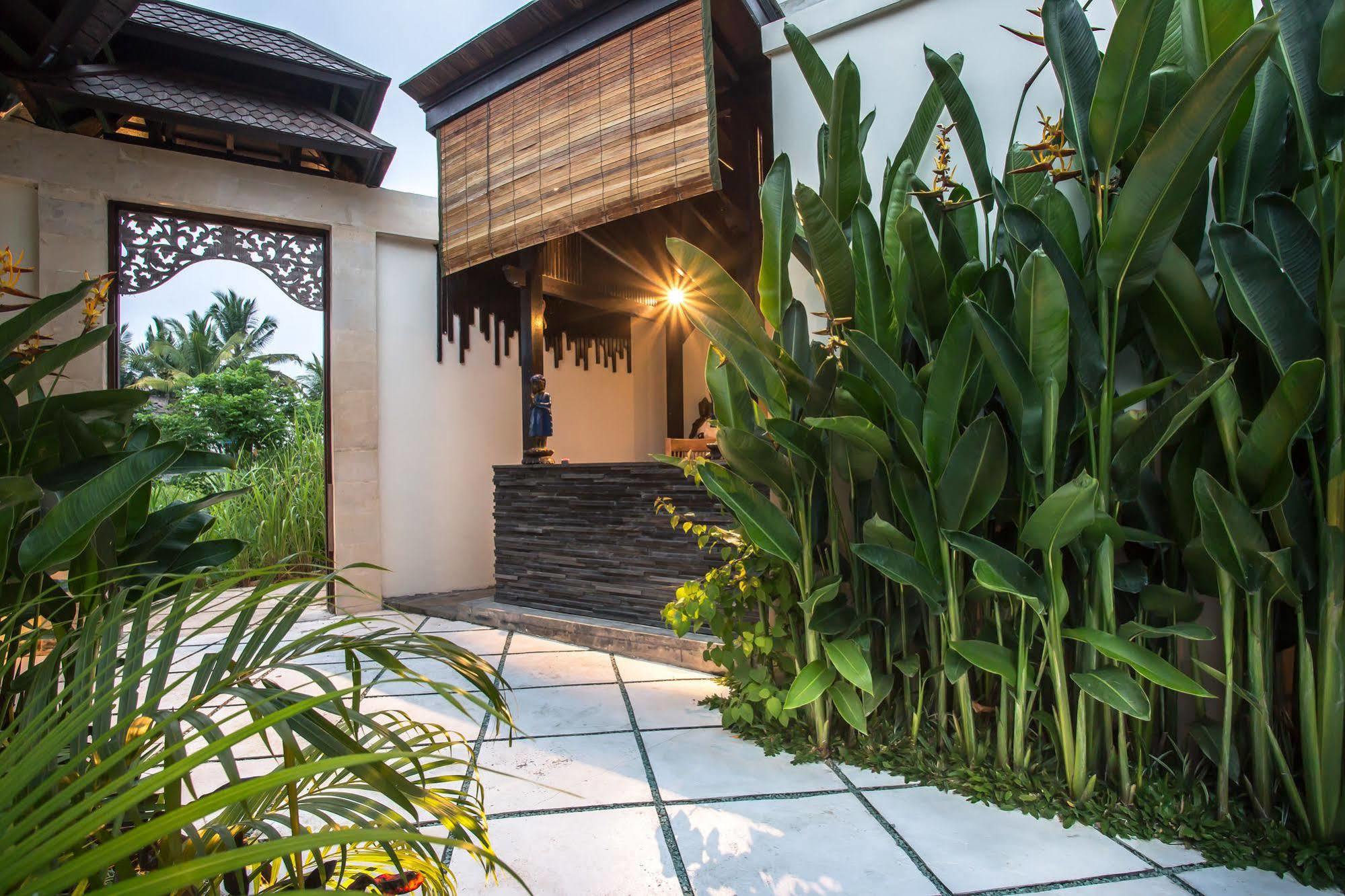 Solo Villas & Retreat Ubud Exteriör bild